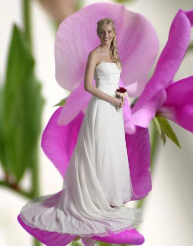 Bride on Petal